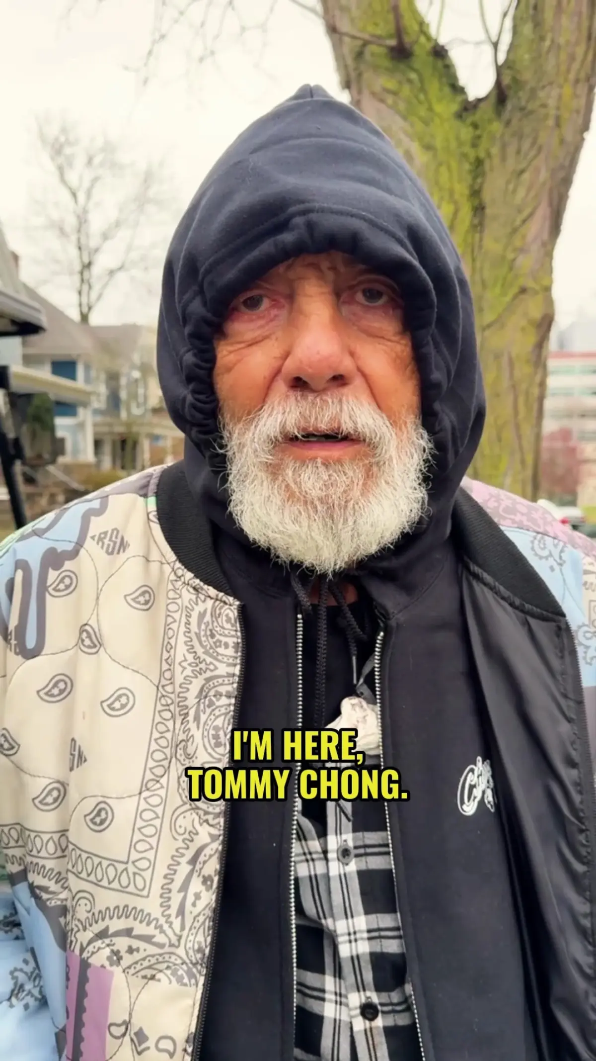 Comedy legend praises cannabis festival during break from promoting Cheech & Chong's Last Movie.