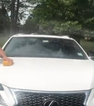 Vic DiBitetto shows off his quirky charm at a car wash gig, inviting fans to sing along!!!