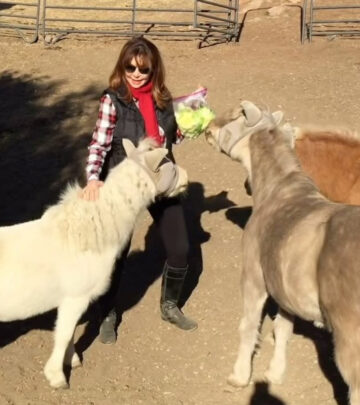 Victoria Principal’s Quirky Equine Fashion Sparks Interest