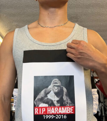 100 V 1 Gorilla Showdown At Strikers Inc
