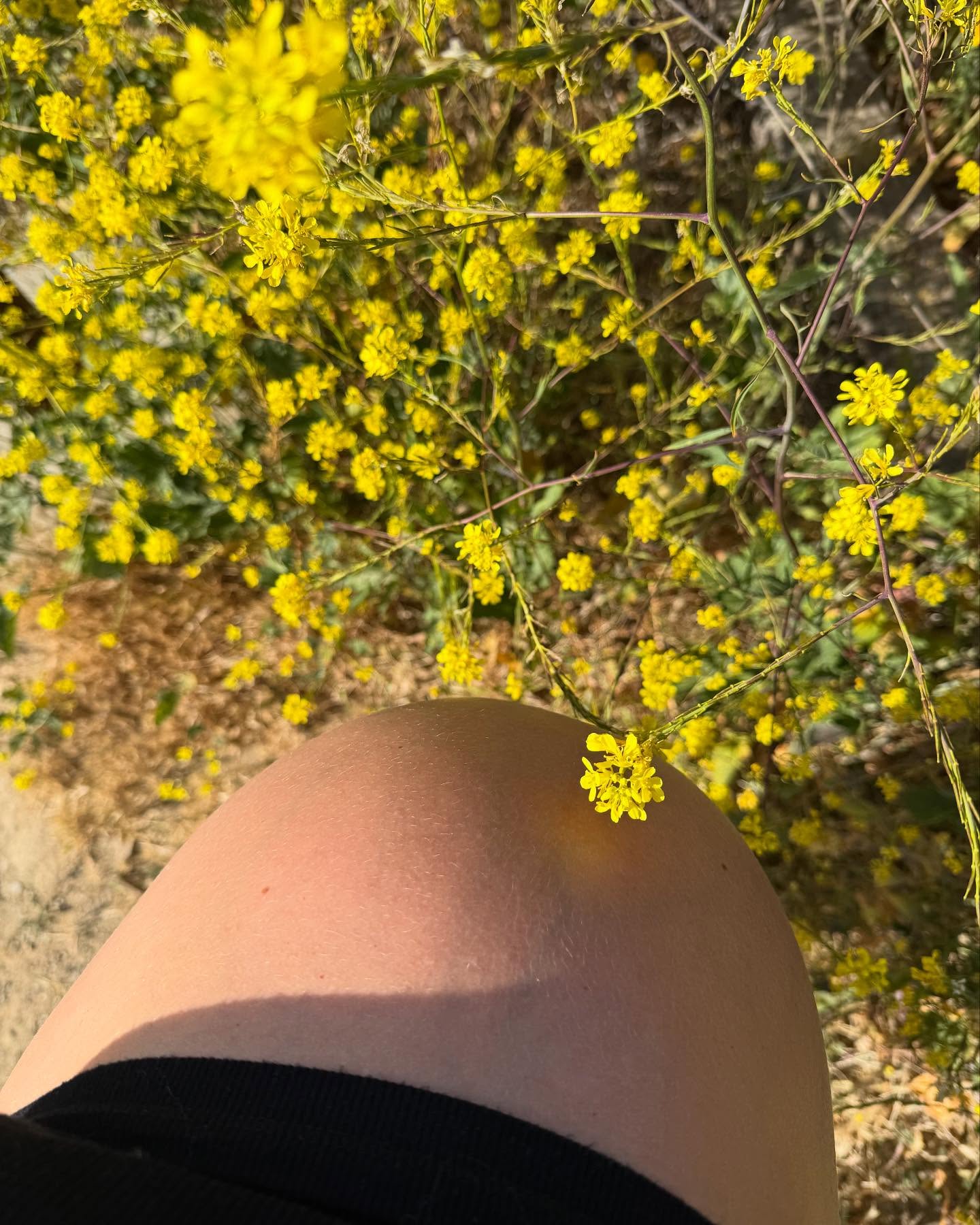 36 Week Round Up With Sarah Wright Olsen