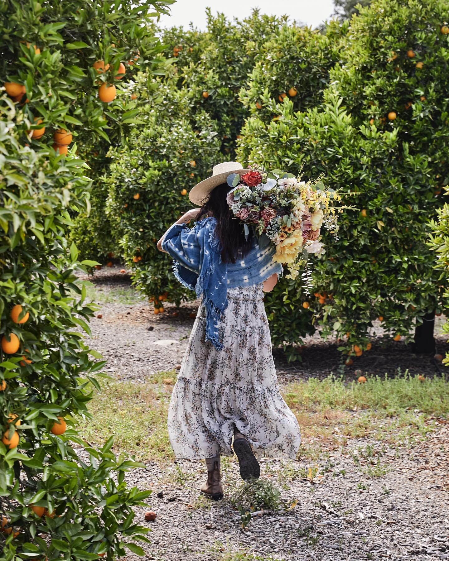 Abigail Spencer Embraces Weekend Citrus Vibes Celebrity Abigail Spencer greets the weekend with flair and bursts of orange energy galore.