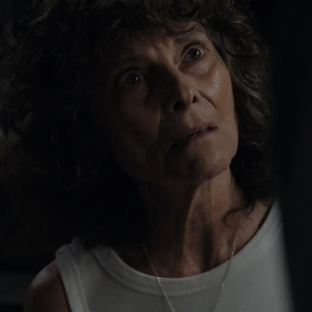 Adrienne Barbeau Celebrates Love For Filmmaking Adrienne celebrates movie magic and collaboration with friends in her cinematic journey.!