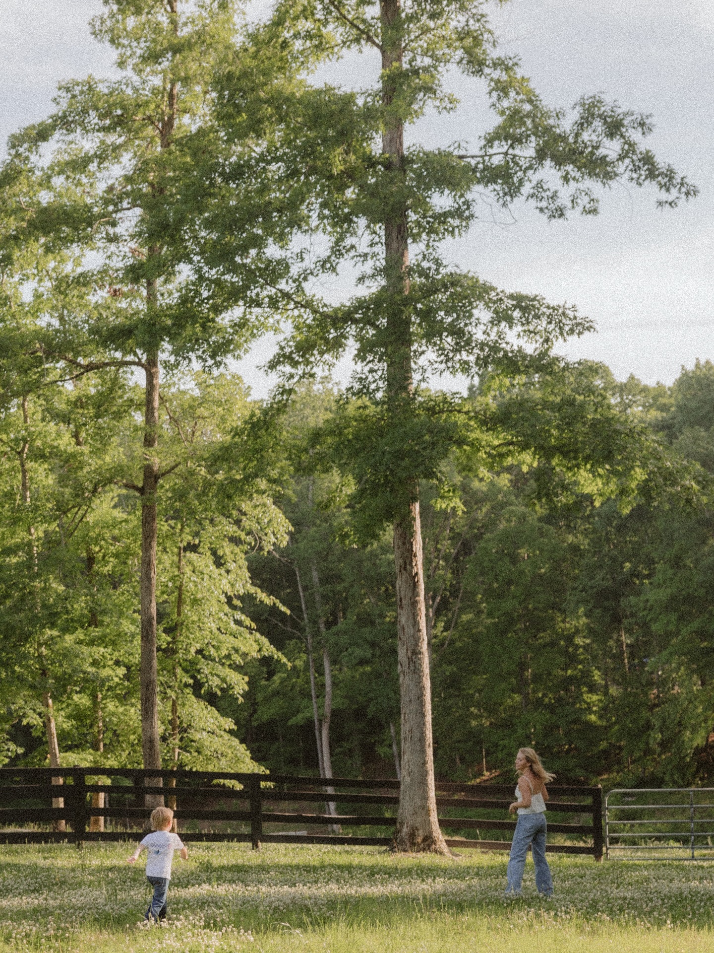 Adventurous Evening At Home With Delaney Royer & Ryman Candid Home Adventures Unfold: Delaney Royer and Ryman light up an intimate evening. Wow!