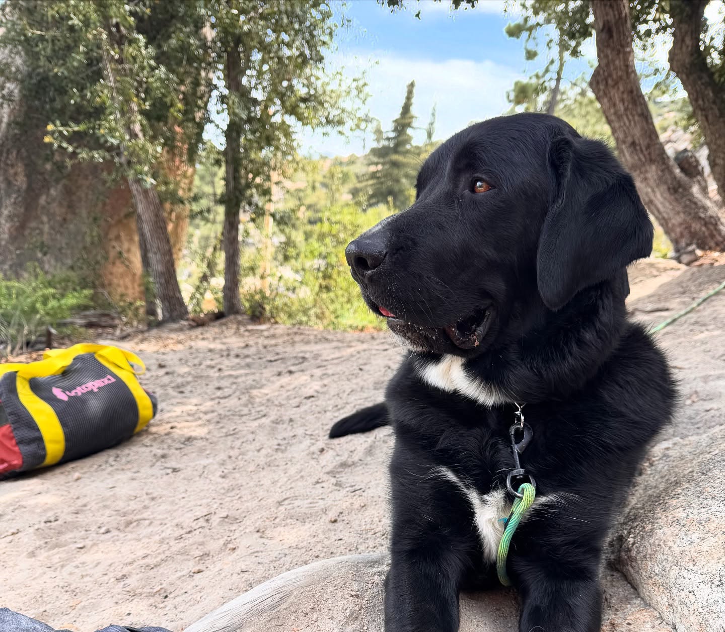 Alisha Wainwright Returns With V6 at Horse Flats