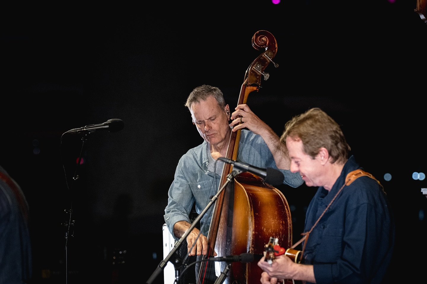 Alison Krauss ARCADIA Tour 2025 Announced