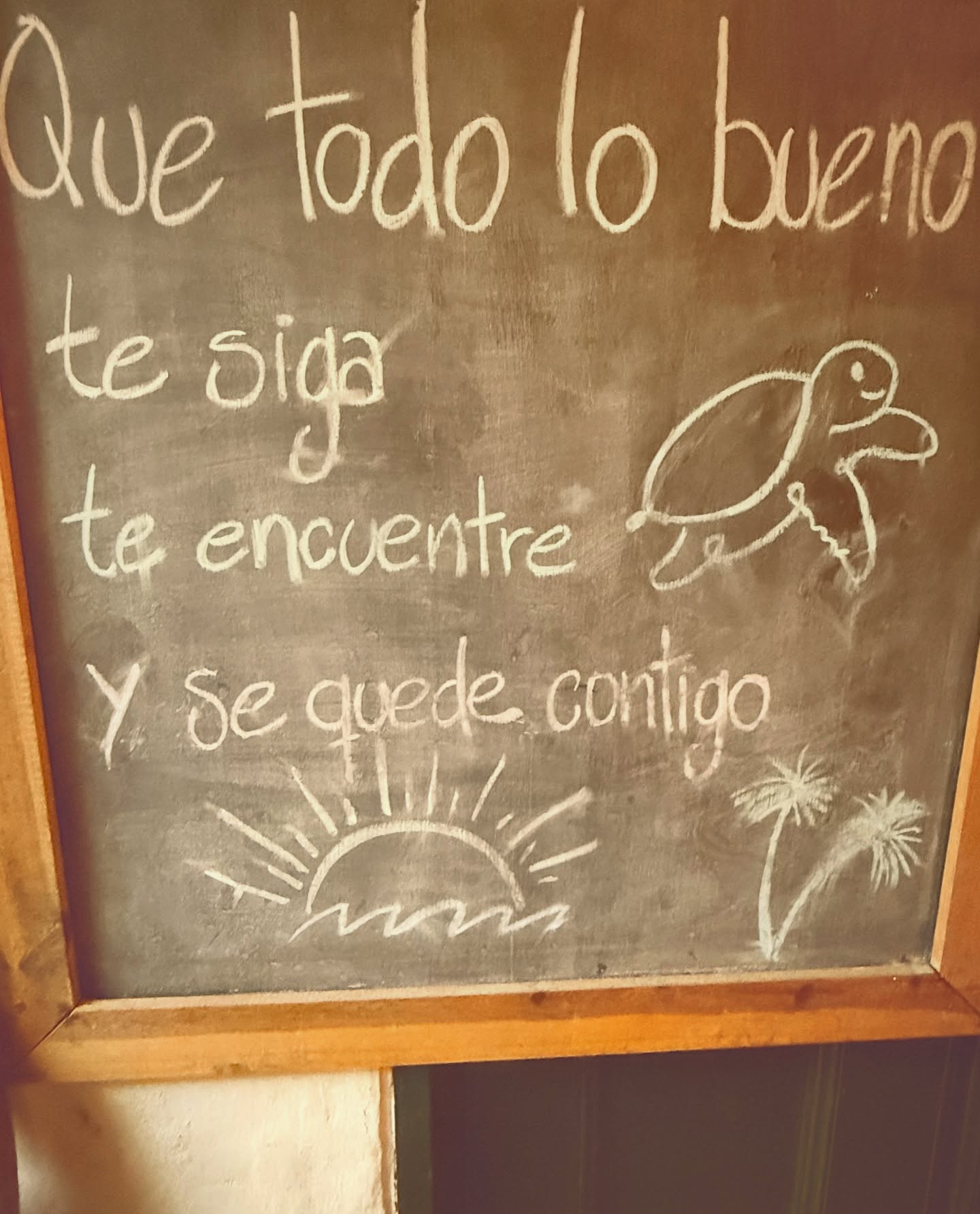 Angelica Celaya Inspires With Reflective Life Quote