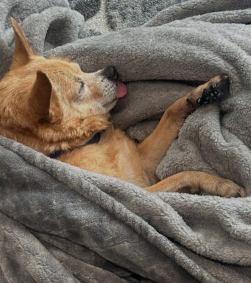 Anjali Bhimani Celebrates Her Rescue Pup’s Rest Day