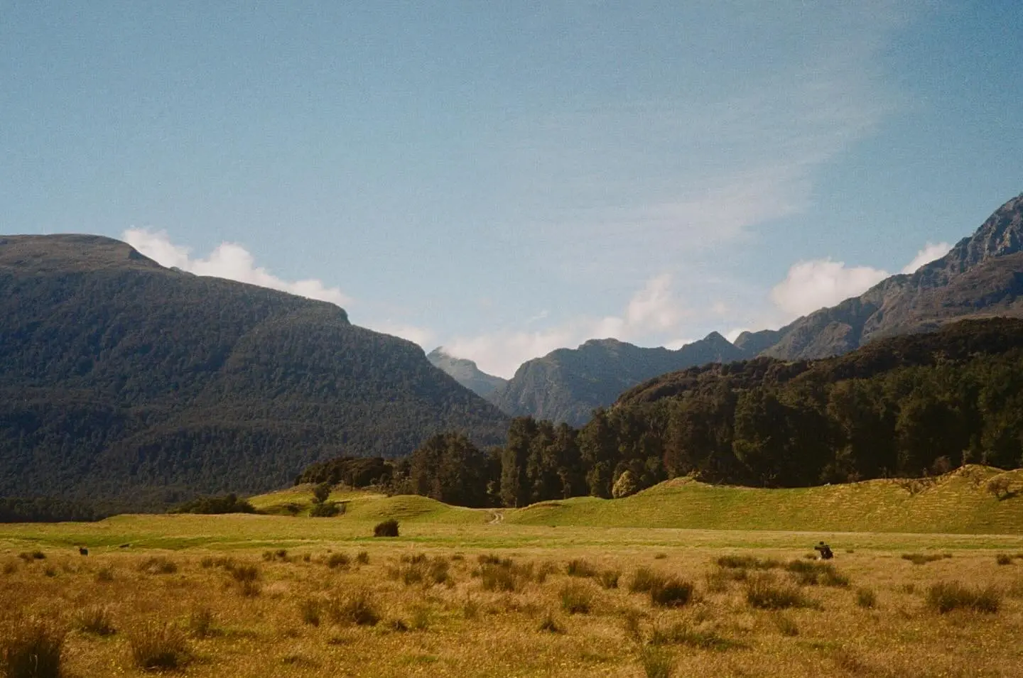 Anna Lambe Embraces New Developments In Indigenous Arts
