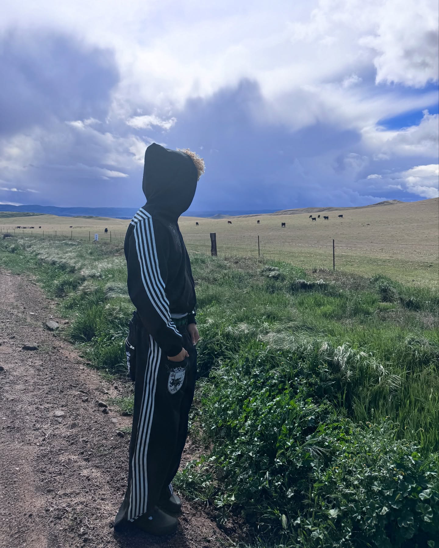 Armani Jackson's Journey: The Path Continues