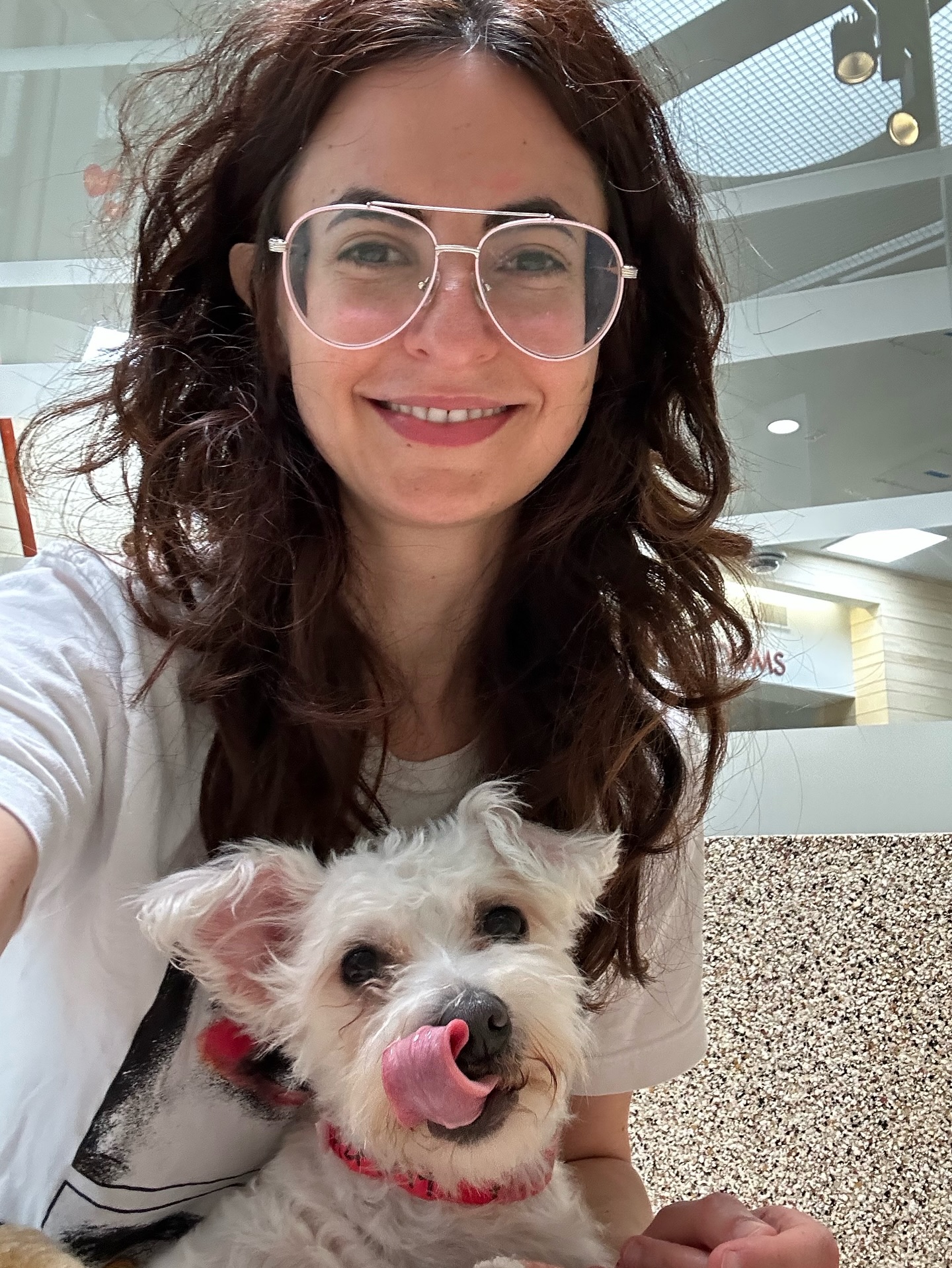Avital Ash Celebrates National Rescue Dog Day With New Adoptions Avital Ash marks rescue day with welcome for two rescue dogs, celebrating love & loyalty.