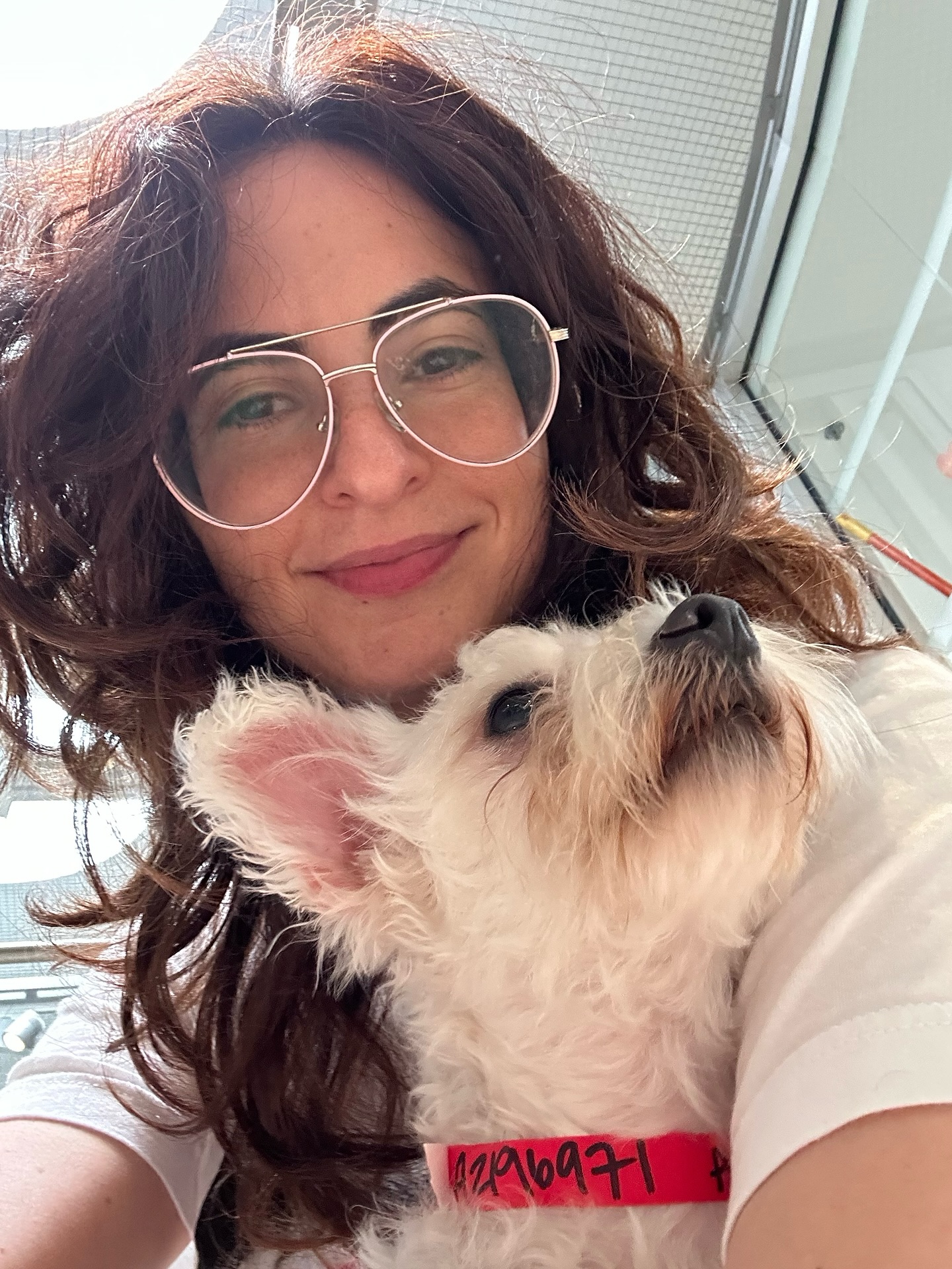 Avital Ash Celebrates National Rescue Dog Day With New Adoptions