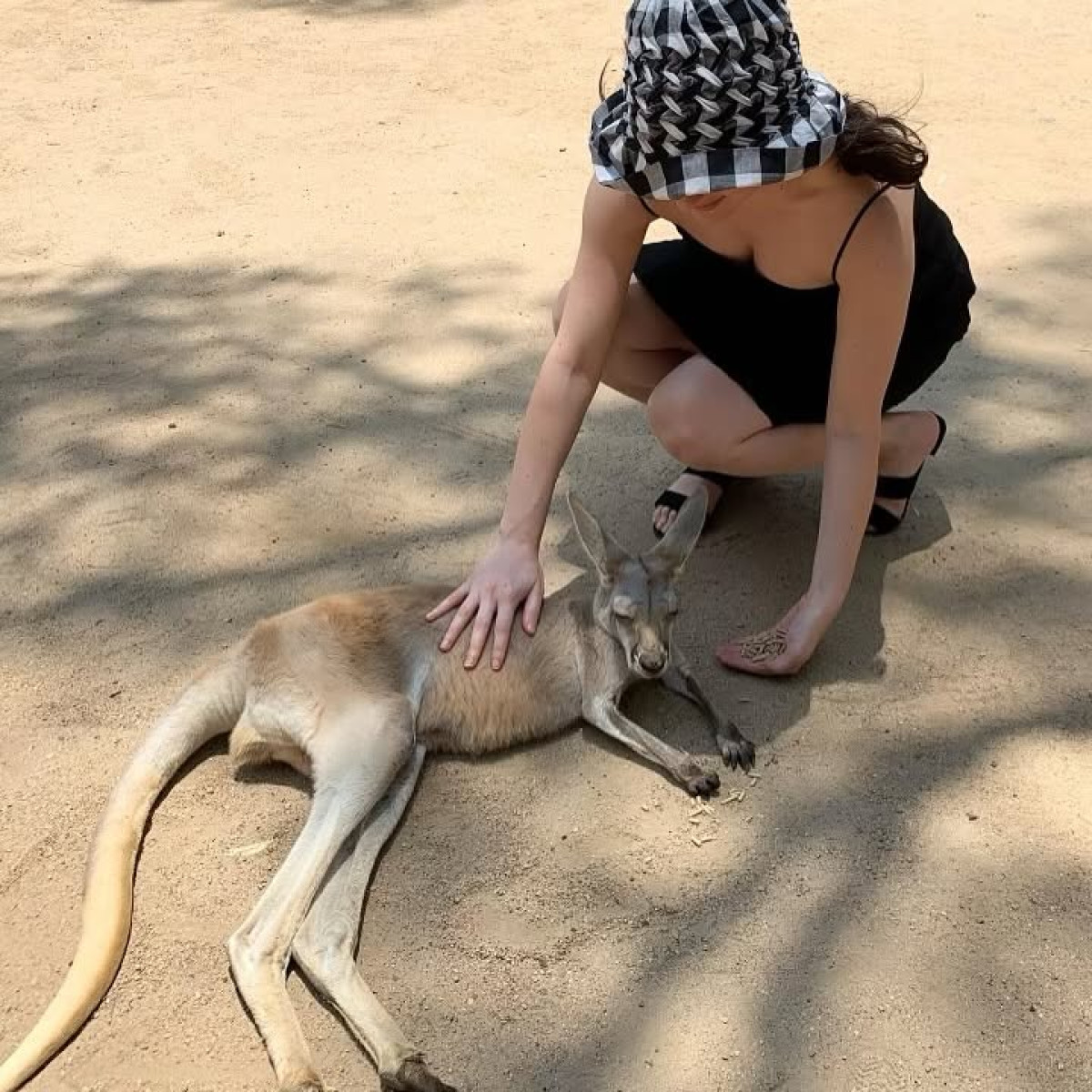 Banks Announces Off With Her Head Tour 2025 Excitement mounts as Banks sets the stage down under with exclusive VIP tour access now!!!