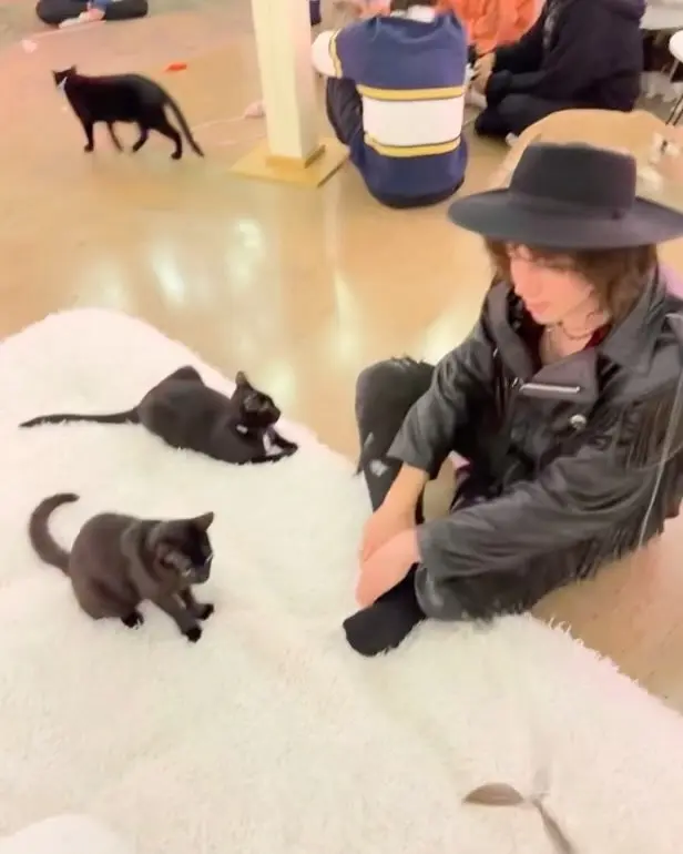 Barns Courtney in His Natural Habitat: Savanah KC Shoots