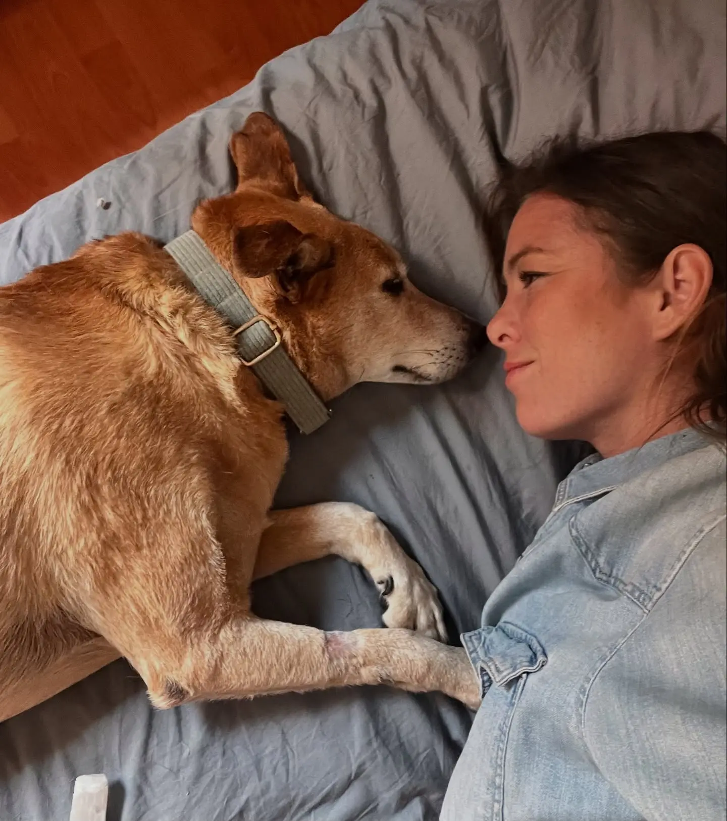 Begoña Narváez Mourns Beloved Dog Sarni After 11 Years Actress shares a Spanish tribute to her loyal companion of over a decade and touching fans
