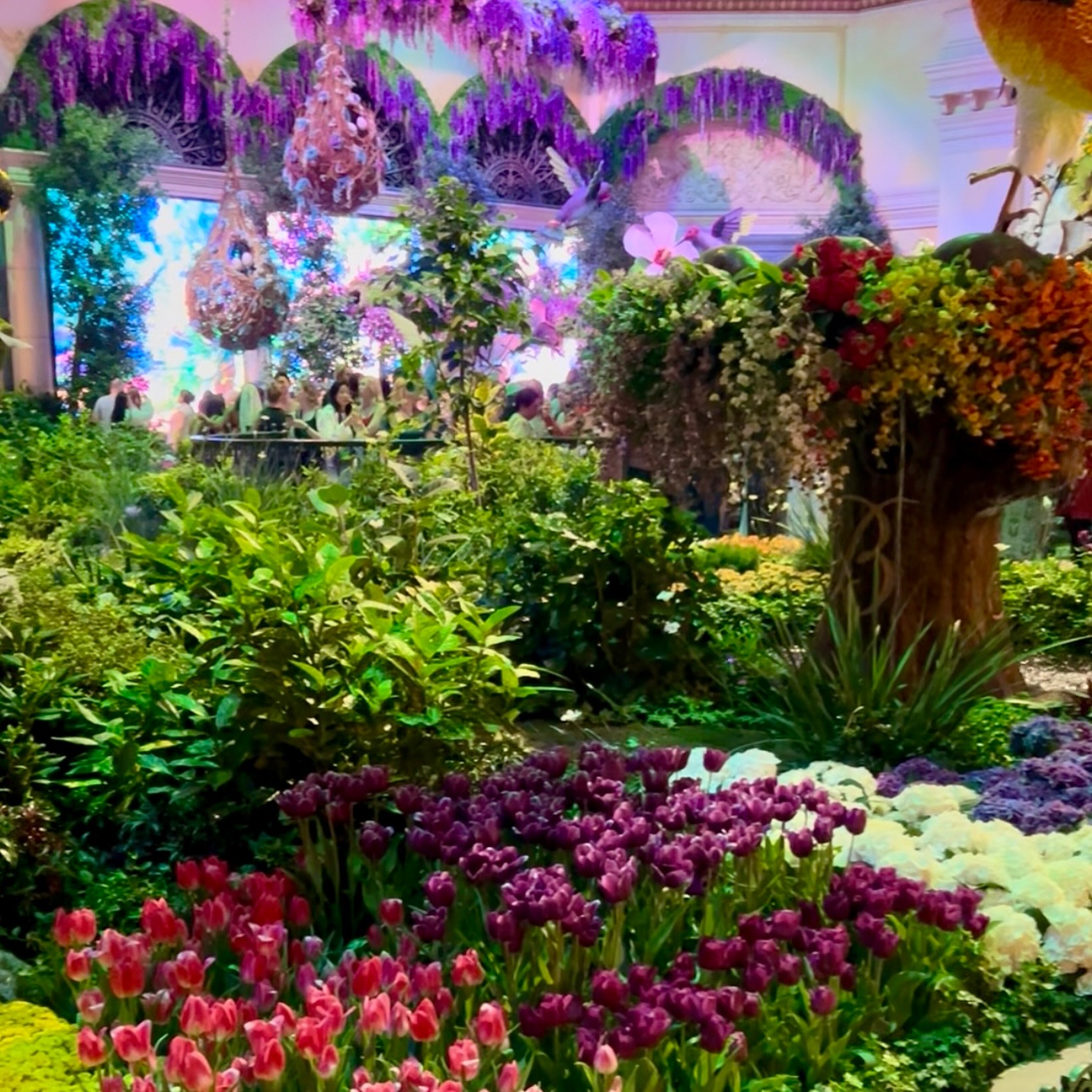 Bellagio Botanical Gardens Unveiled