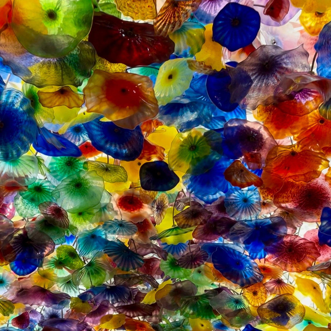 Bellagio Botanical Gardens Unveiled