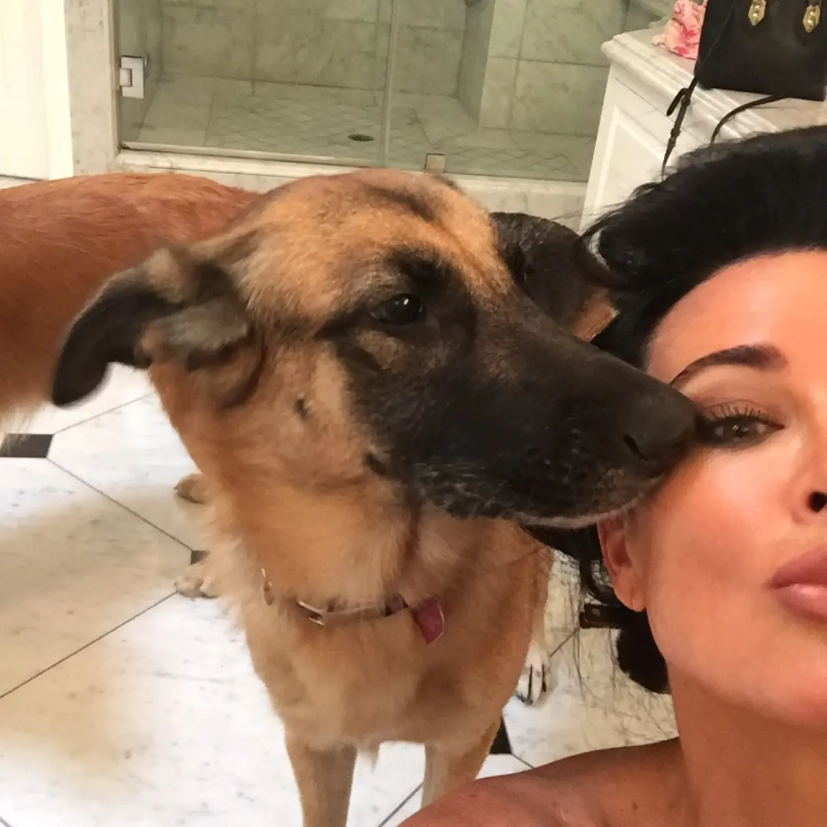 Beloved Dog River Passes Away At 15