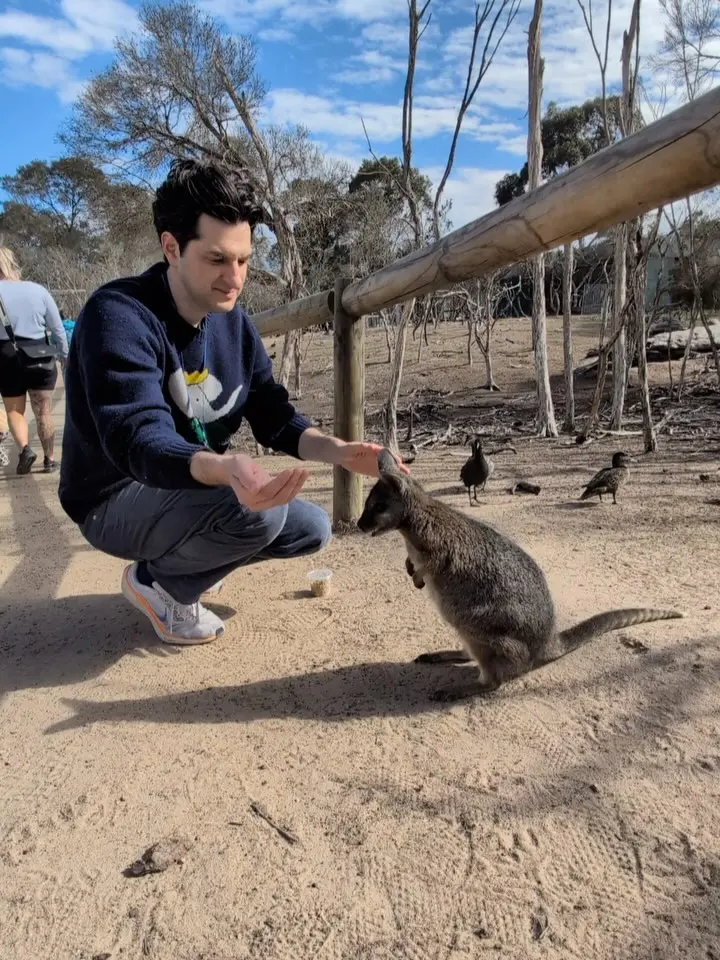 Ben Schwartz Stuns Fans With Down Funder Dump