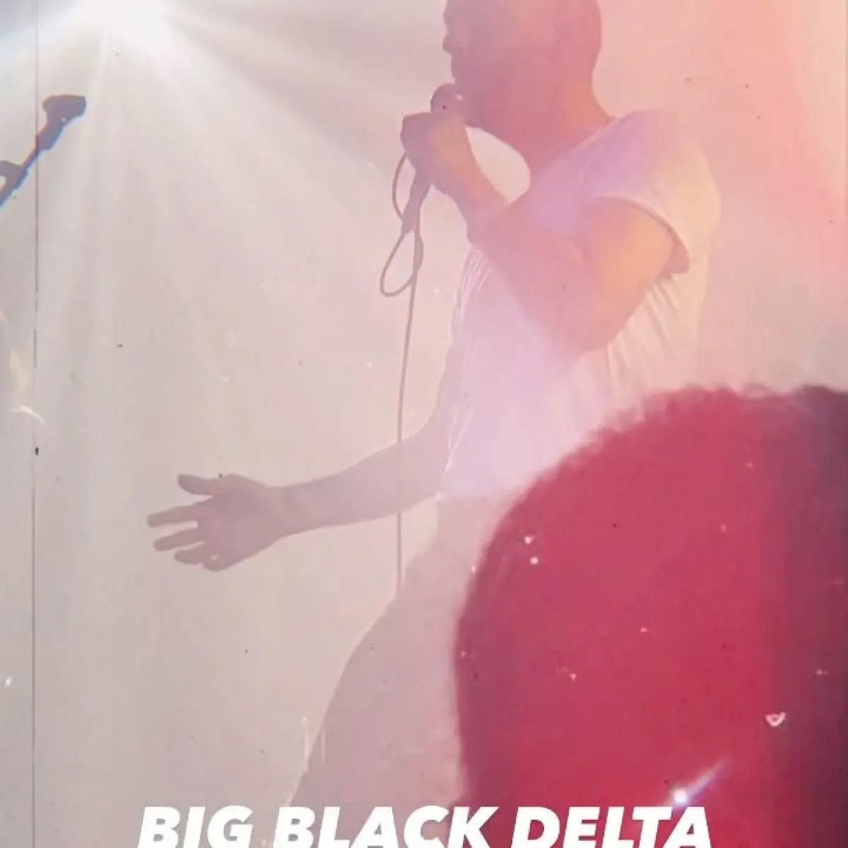Electrifying LA live show delivers raw rock energy from iconic Big Black Delta’s epic show.