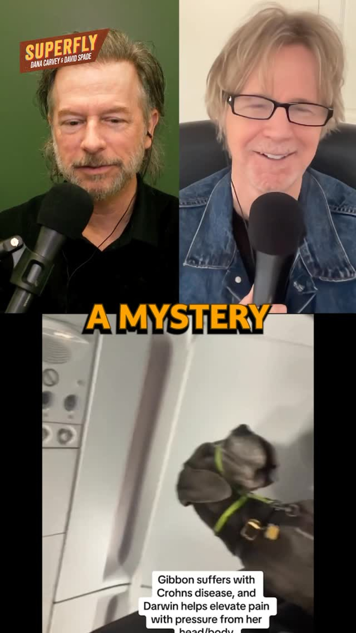 New Superfly Pod delivers hilarious insights from David Spade, Dana Carvey and Larry David