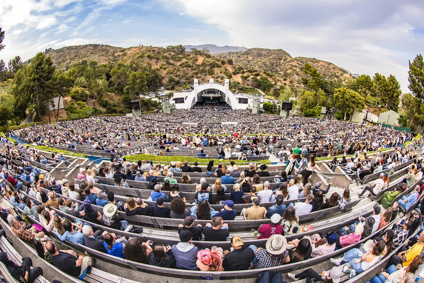 Billy Strings Rocks Hollywood Bowl
