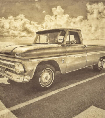 Ryan Paevey’s Retro Vibe