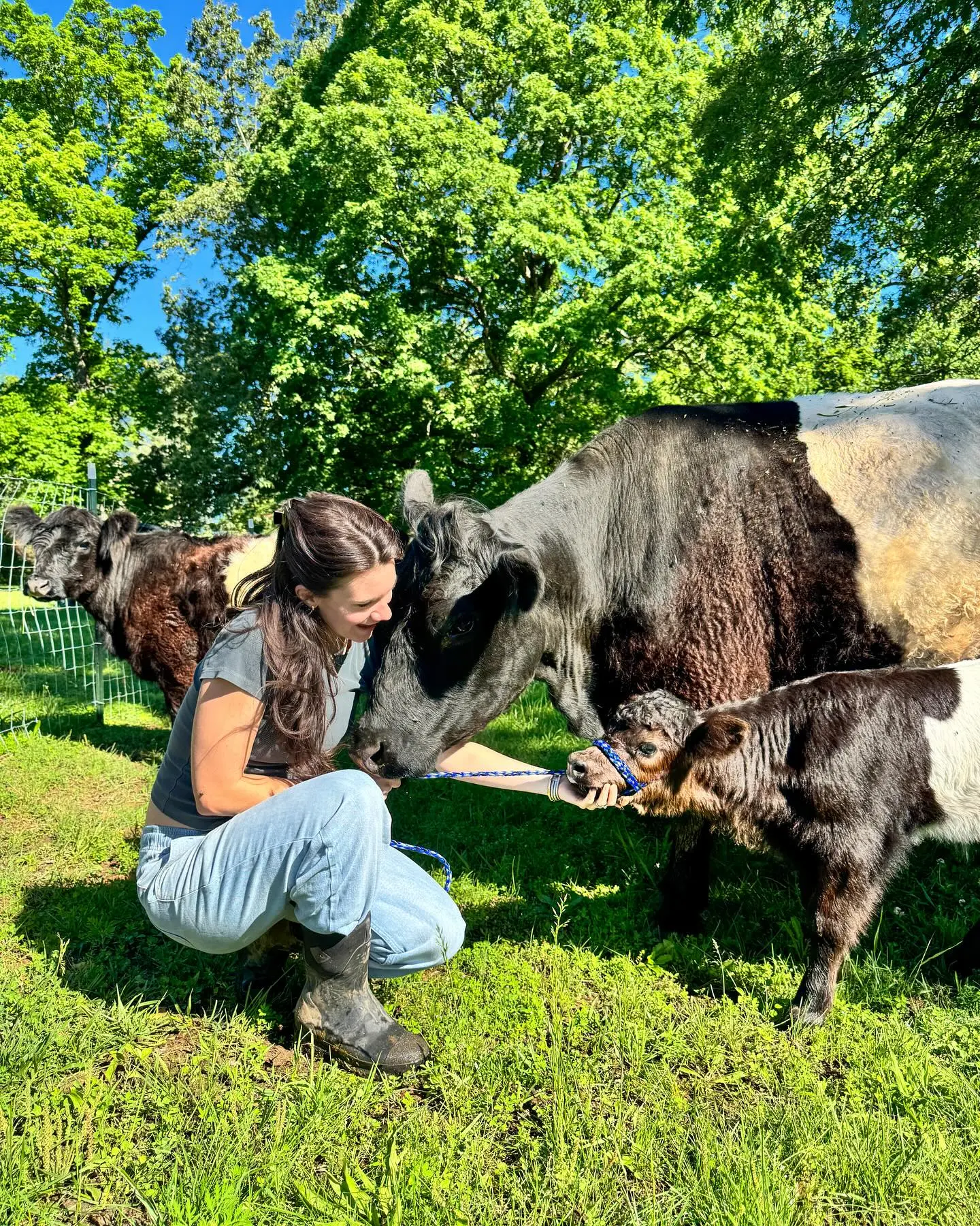 Brett Cooper Welcomes Calf Duo Oreo and Sir Loin Fans saw the new mother-and-calf duo grazing on Cooper’s Idaho ranch in adorable snapshots