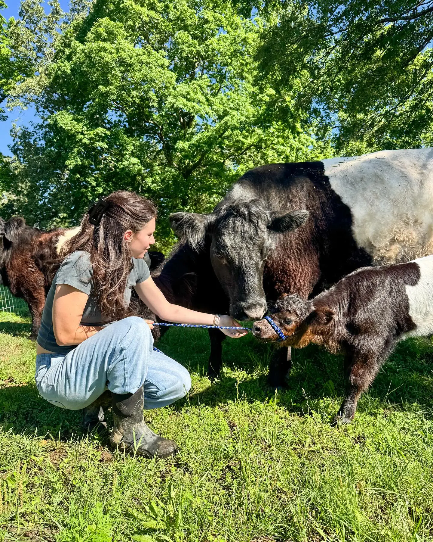 Brett Cooper Welcomes Calf Duo Oreo and Sir Loin