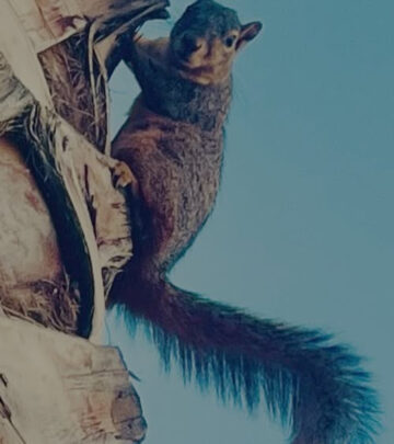 Brett Culbert’s Adorable Palm Tree Security Detail
