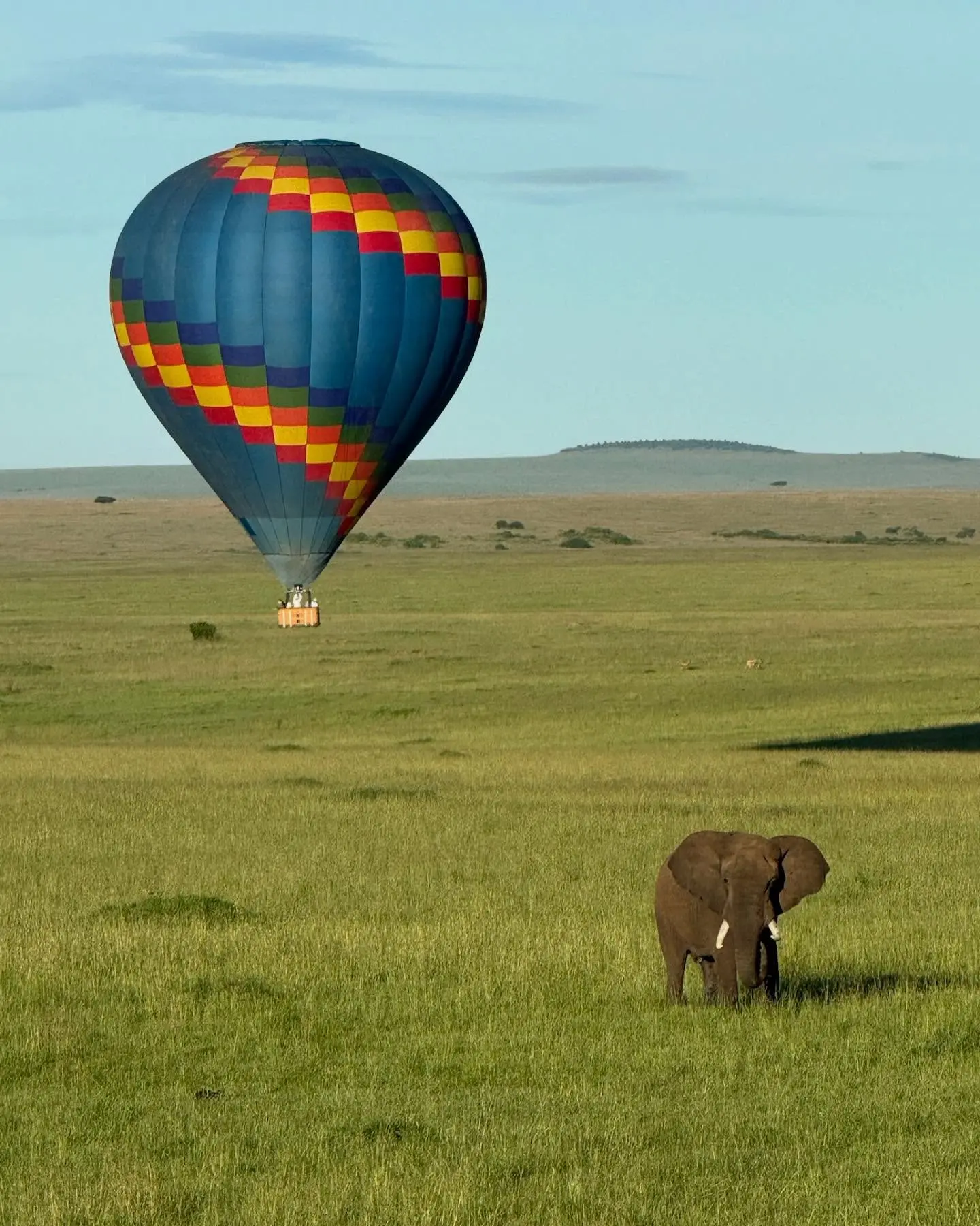 Brianna Fernandez Credits Kenyan Safari for Teaching Her to Slow Down