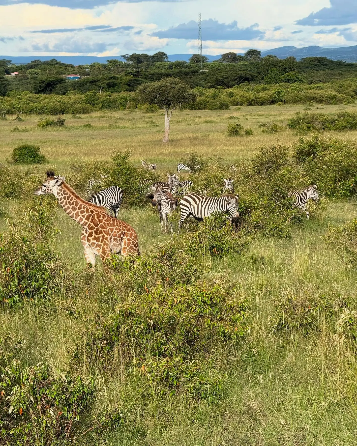 Brianna Fernandez Credits Kenyan Safari for Teaching Her to Slow Down