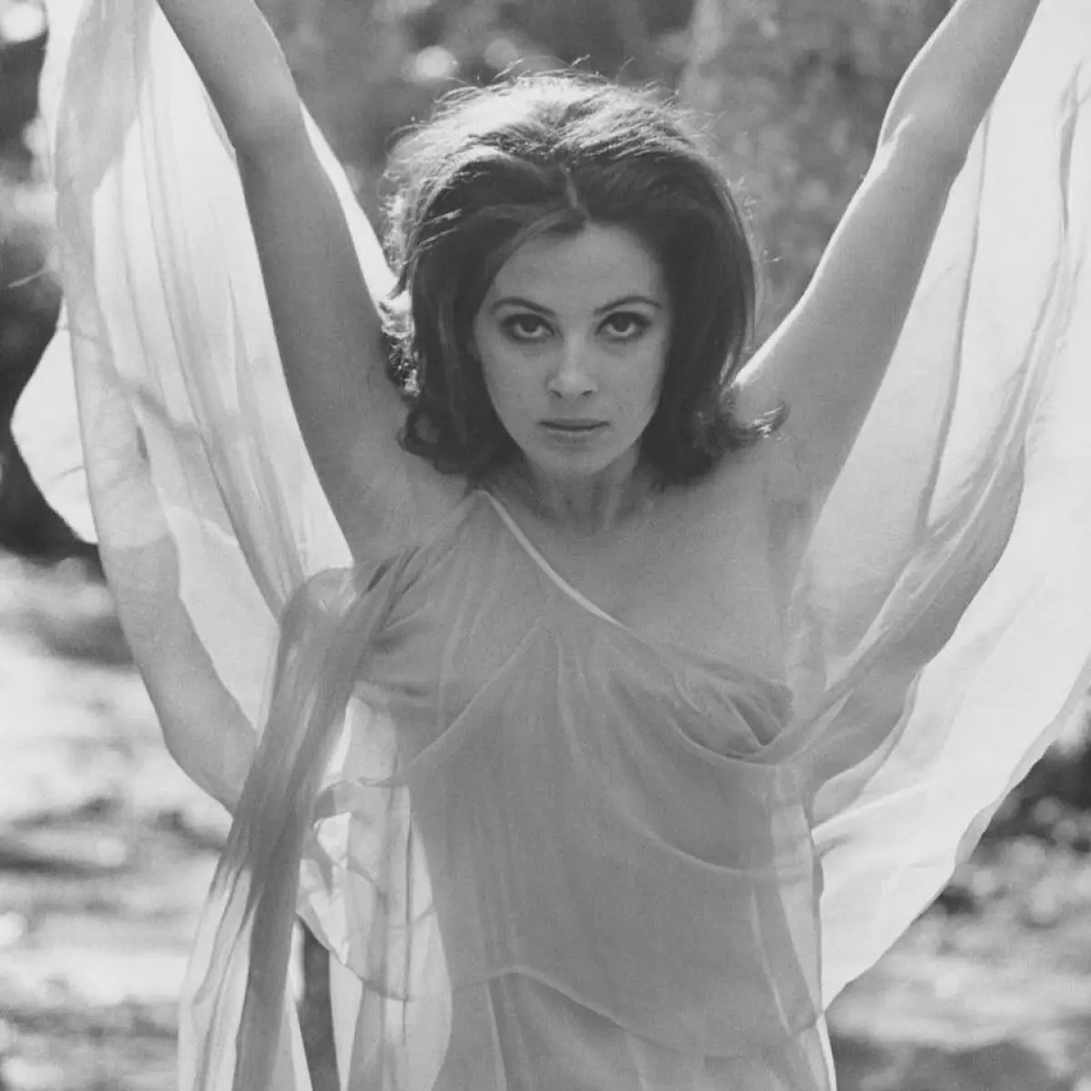 Bruce LaBruce Honors Barbara Parkins on 83rd Birthday The director revisits Valley of the Dolls monologue to salute the actress’s milestone year