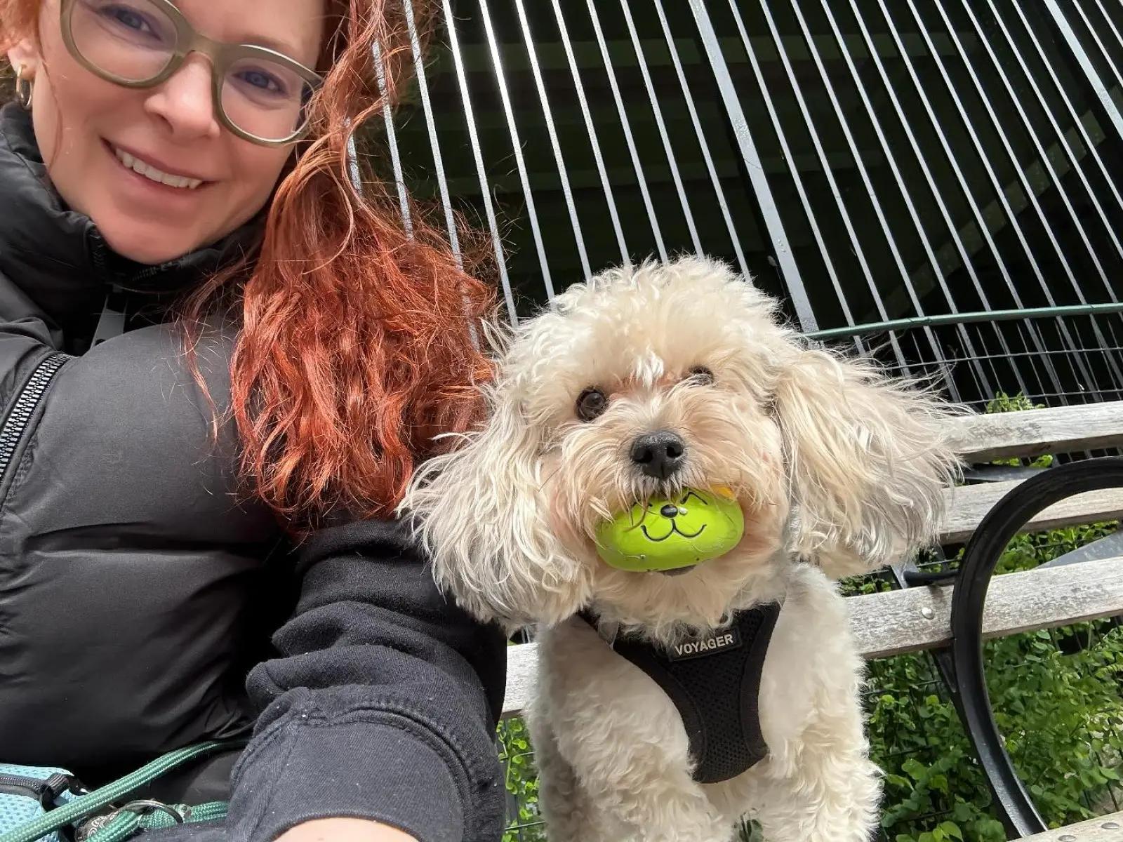 Cady McClain Enjoys Cozy Morning At Dog Park Cady McClain savors a breezy NY morning with two playful pups in delightful company.!! Yay