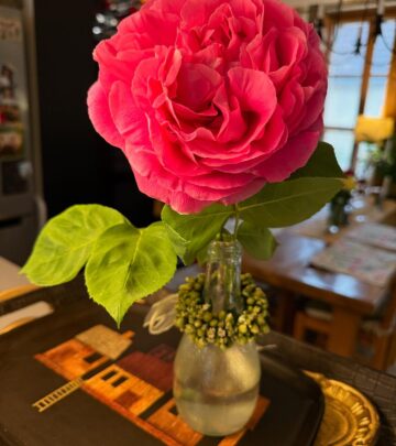 Cady McClain’s Morning In Flavigny
