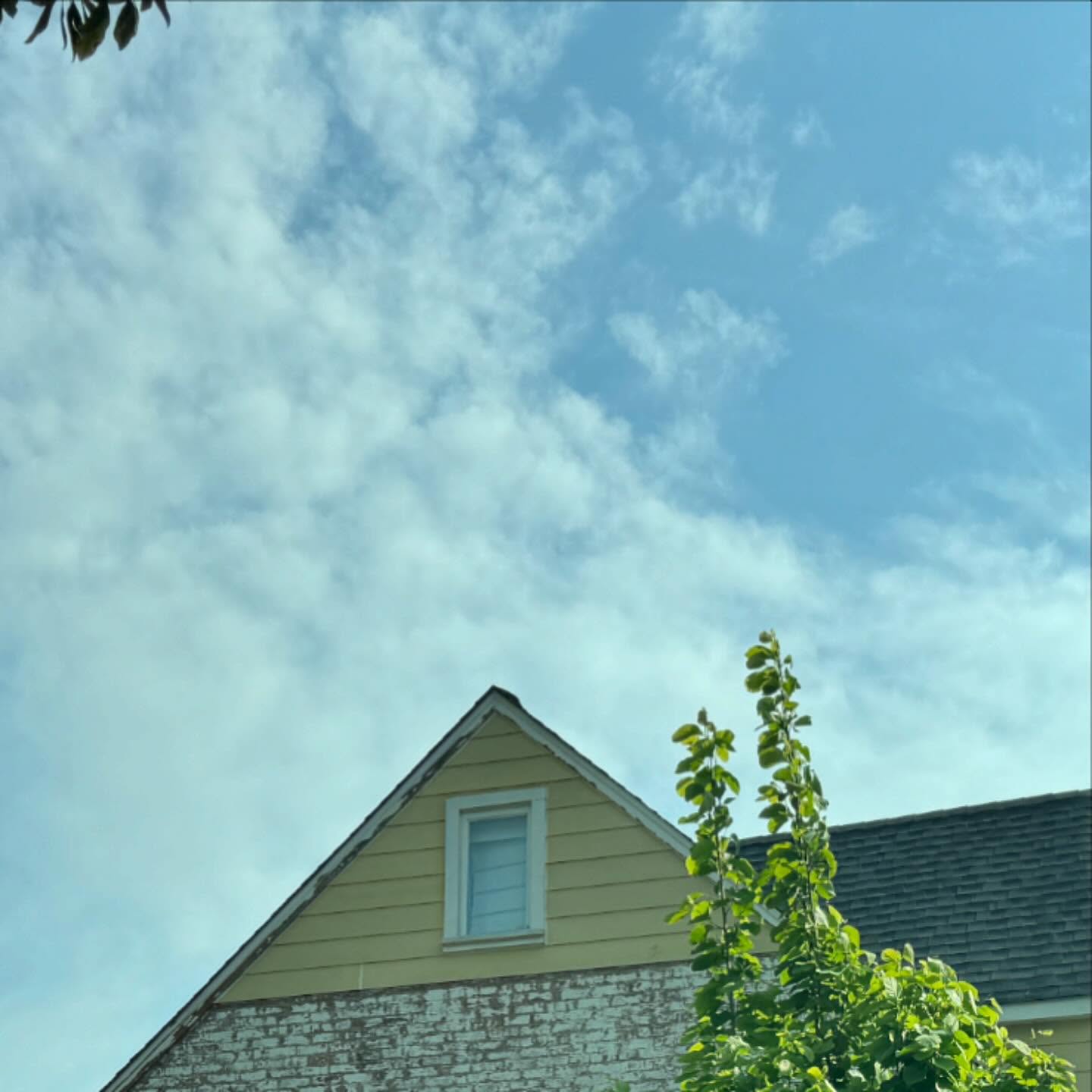 Candice King Embraces House Mode Vibes