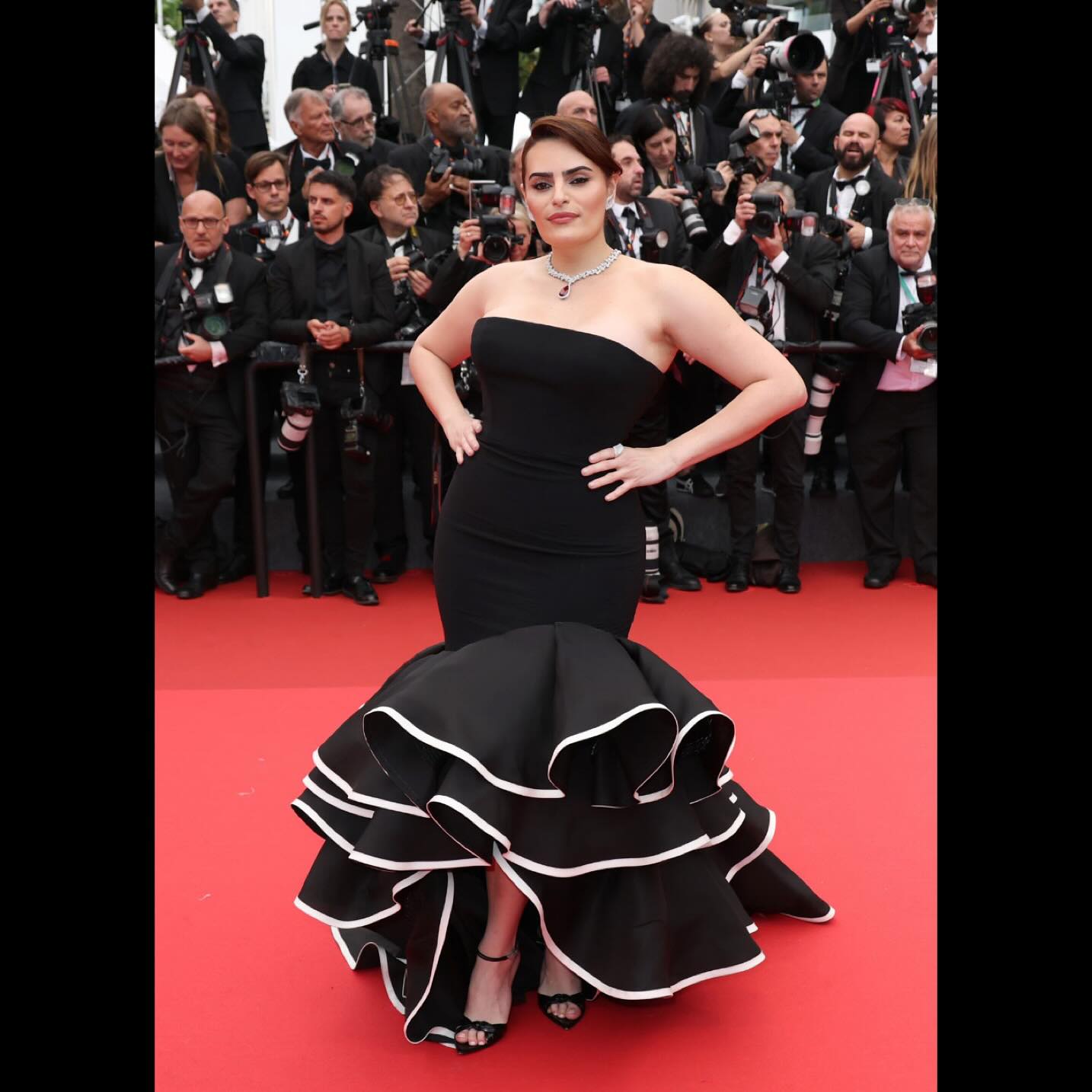 Cannes Festival Red Carpet Fashion Extravaganza