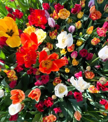 Caro Cult Shares Vibrant Spring Journey