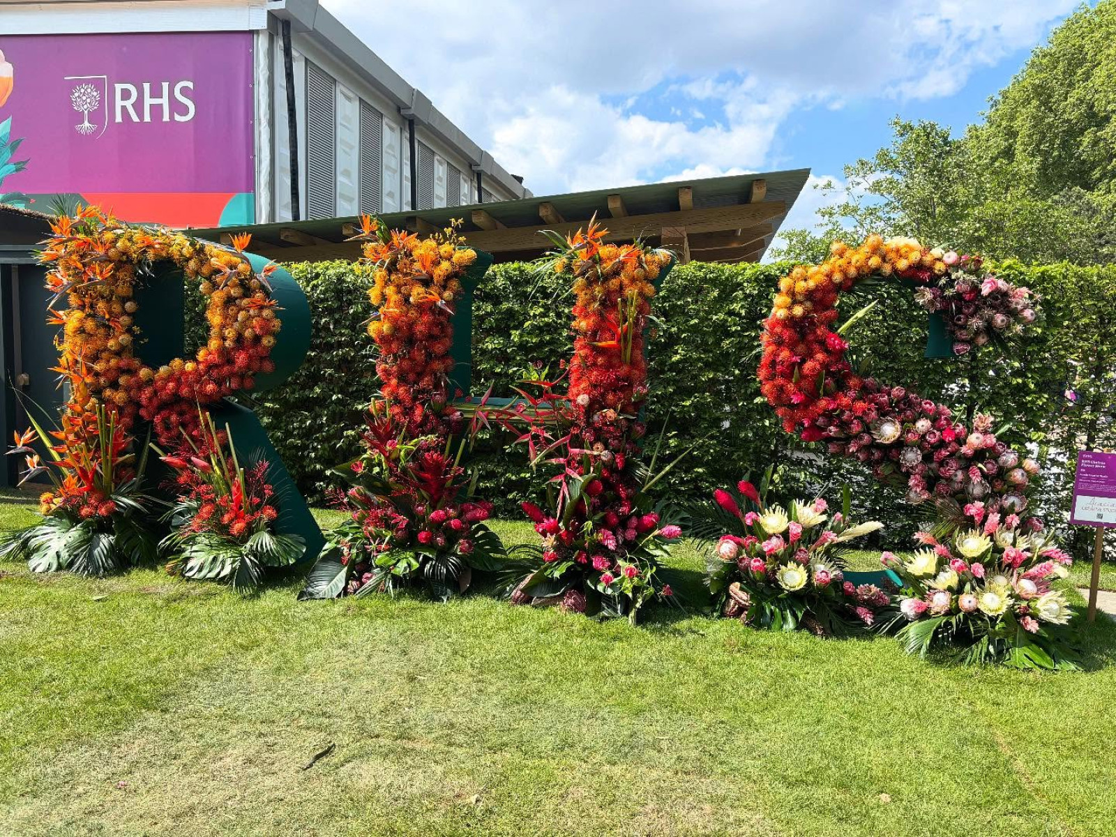 Chelsea Flower Show 2025 Highlights Paul Hollywood Stunning greens and show-stopping blooms enliven the 2025 Chelsea event with Paul Hollywood