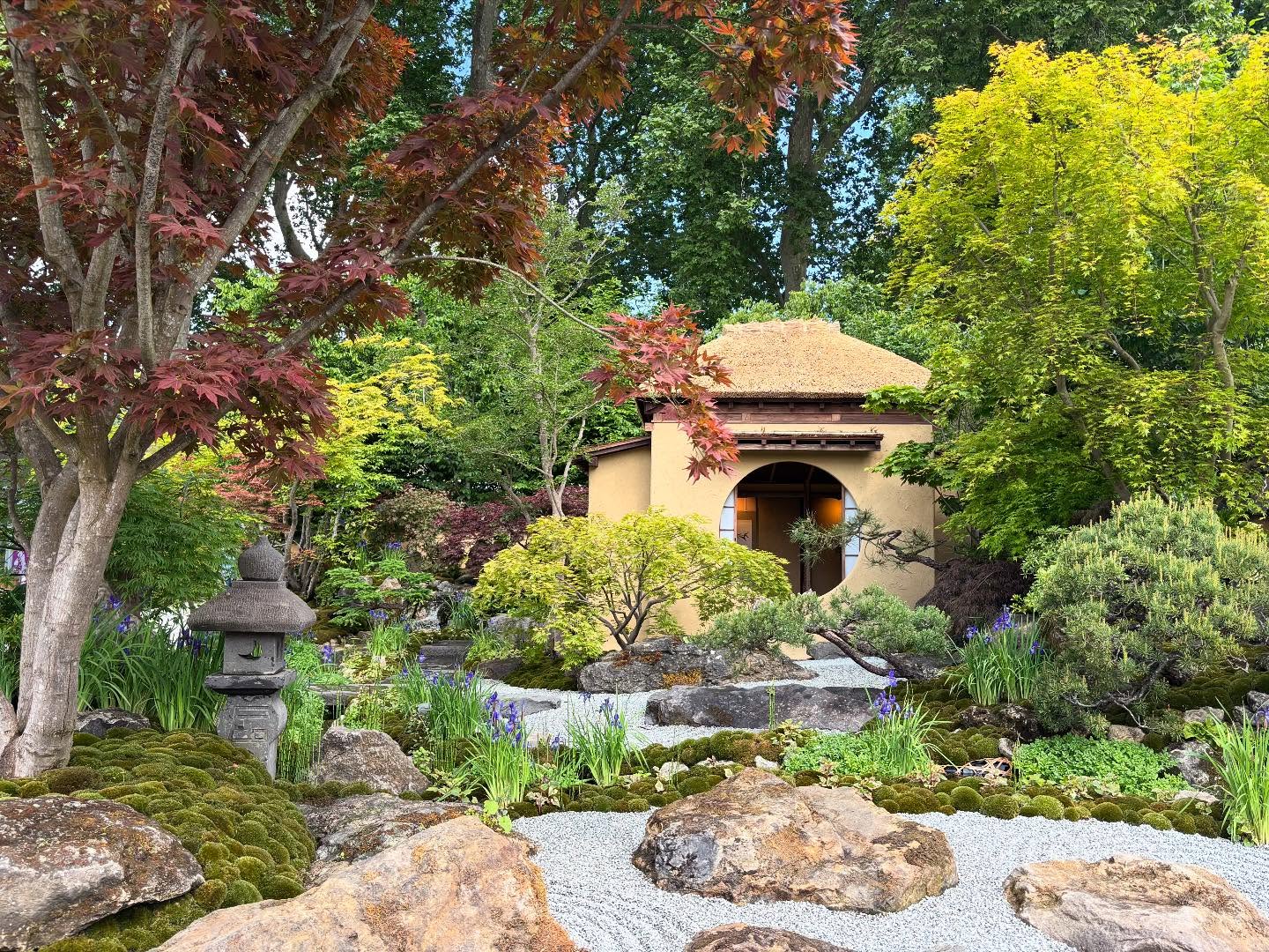 Chelsea Flower Show 2025 Highlights Paul Hollywood