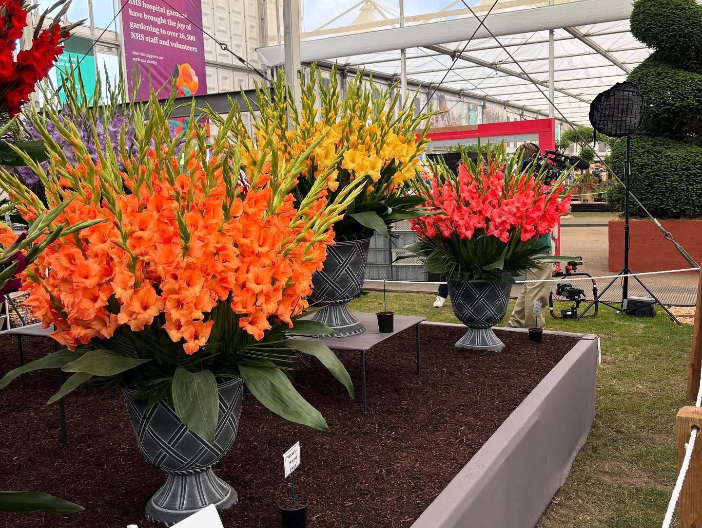 Chelsea Flower Show 2025 Highlights Paul Hollywood