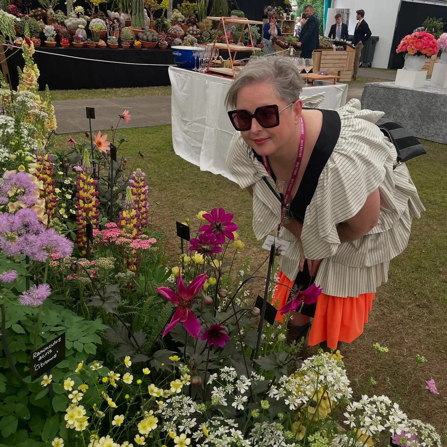 Chelsea Flower Show Blooms: A Garden Day To Remember