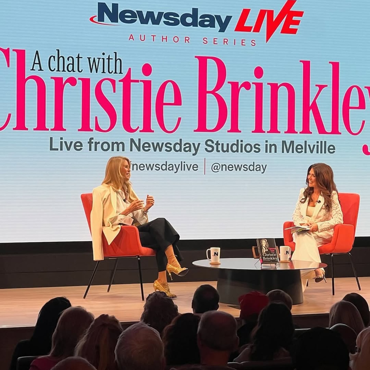 Christie Brinkley Shines At Long Island Lit Fest