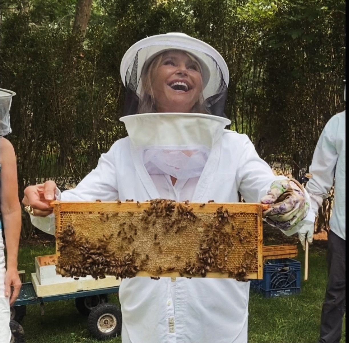 Christie Brinkley Urges Fans to Go Organic on World Bee Day Actress spotlights pollinator population crash and $600M loss; unveils new pollinator pots