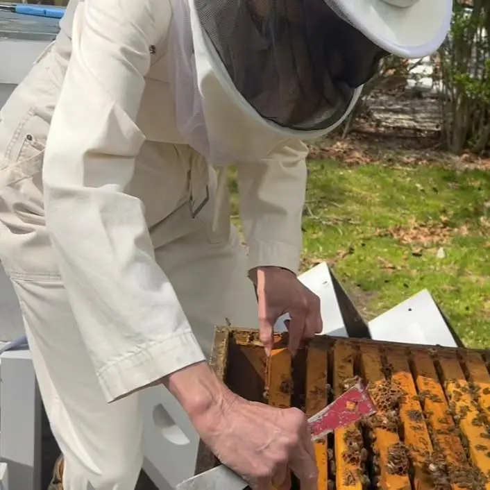 Christie Brinkley Urges Fans to Go Organic on World Bee Day