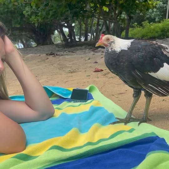 Colbie Caillat Enjoys Serene Kauai Escape