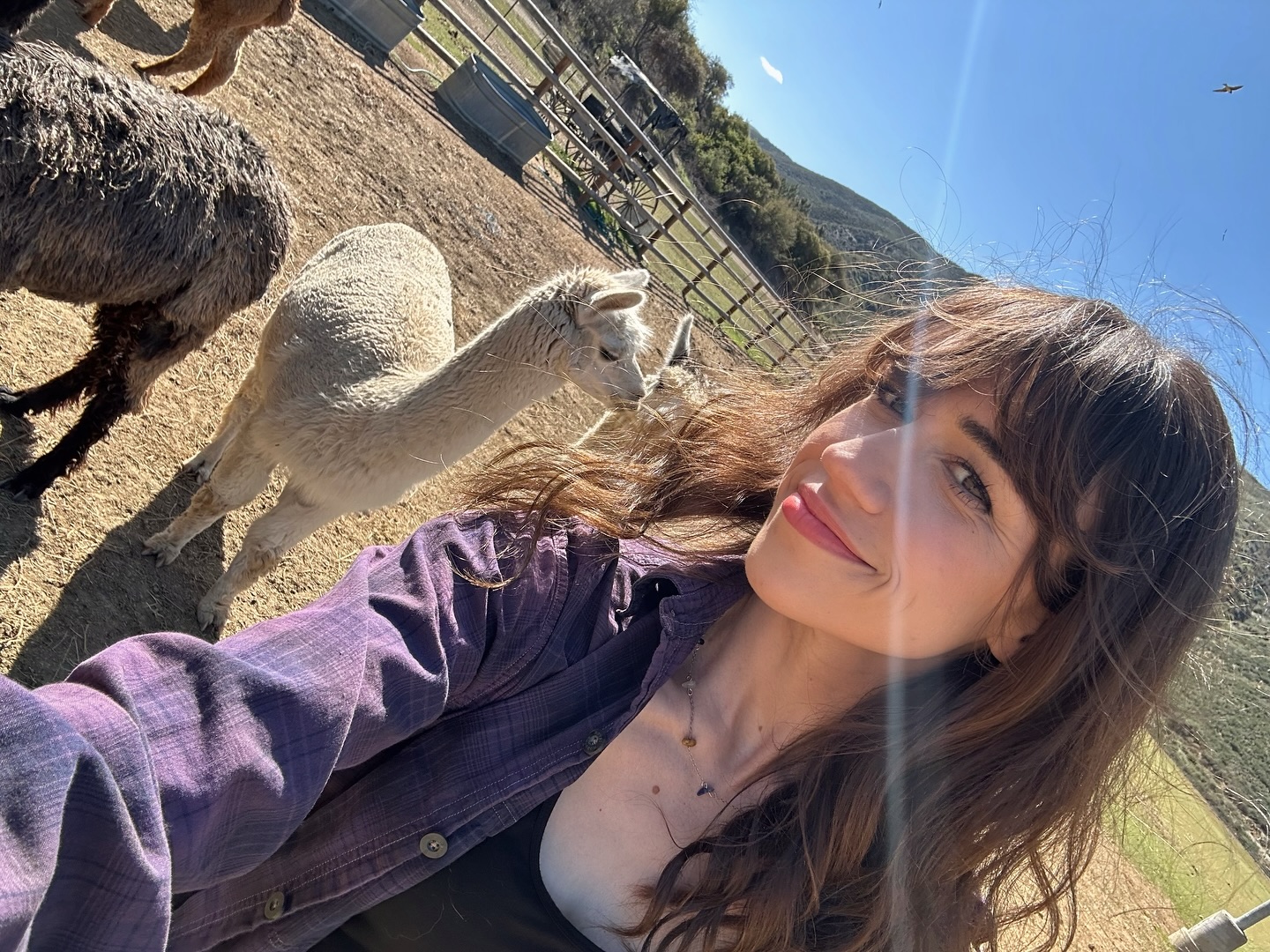 Colleen Ballinger Explores Ranch Adventure On YouTube