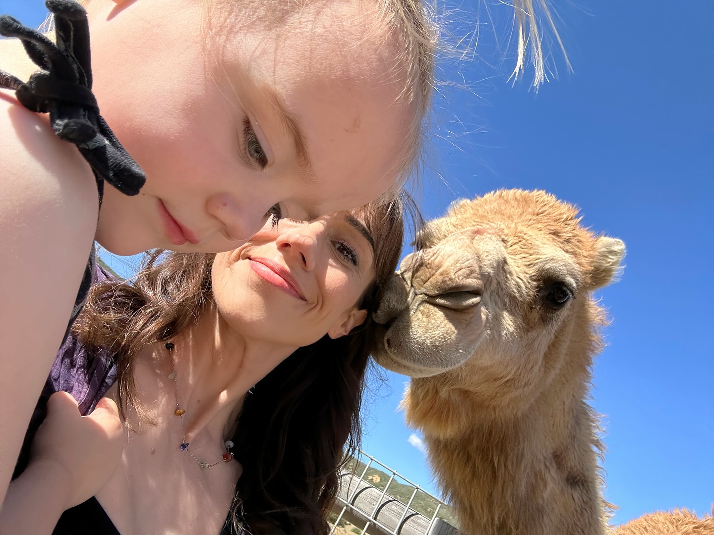Colleen Ballinger Explores Ranch Adventure On YouTube