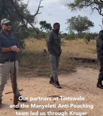 Conservation Mission: Snare Sweep Saves Wildlife