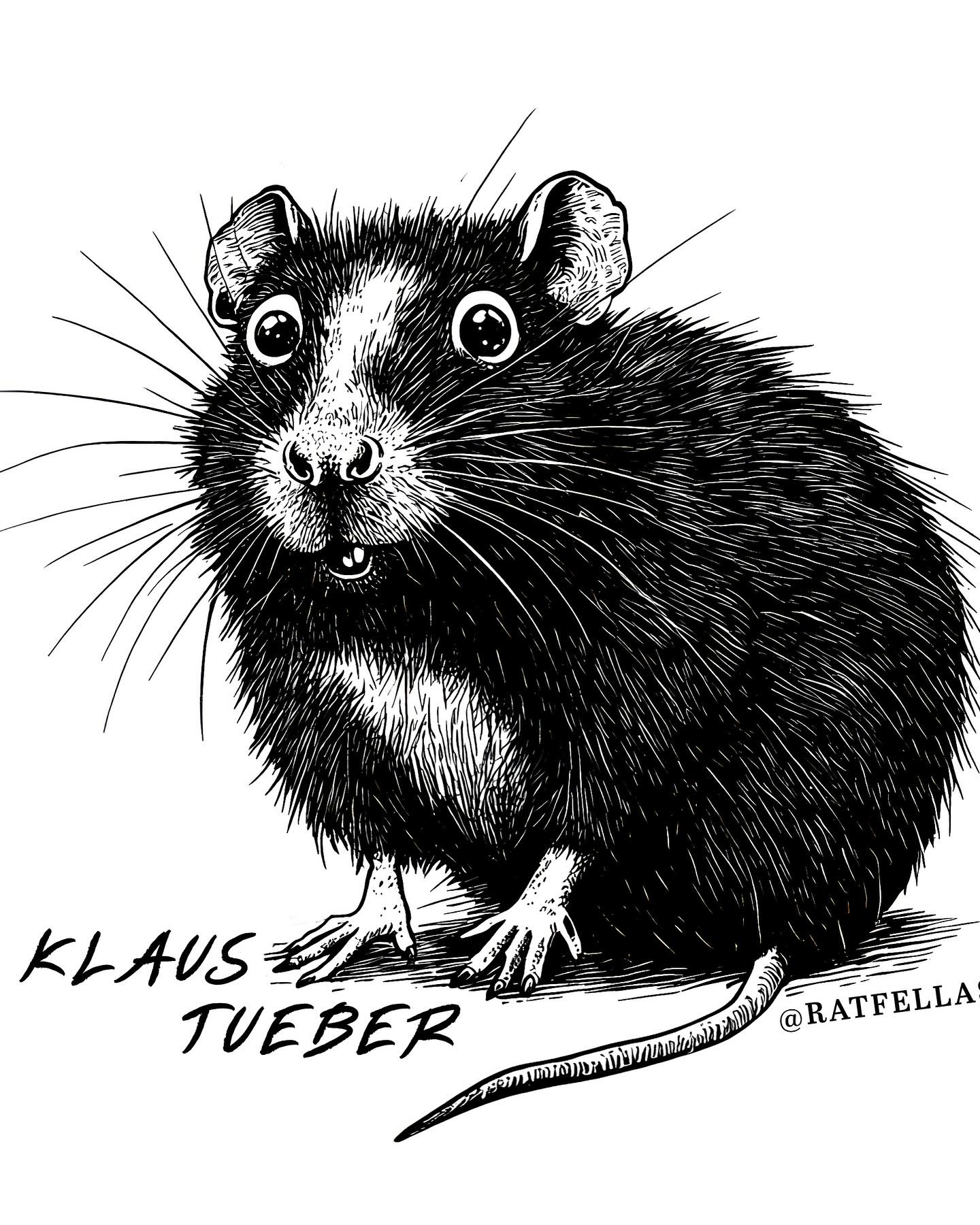 Cute Rat Account Trends On Instagram